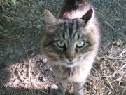 7.27.06 Oaks Bottom 024 